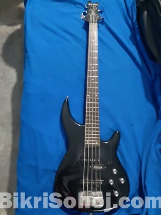 Bass Guitar